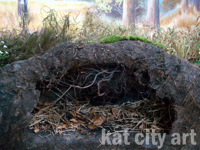 Zdjęcie: nora borsuka.jpg